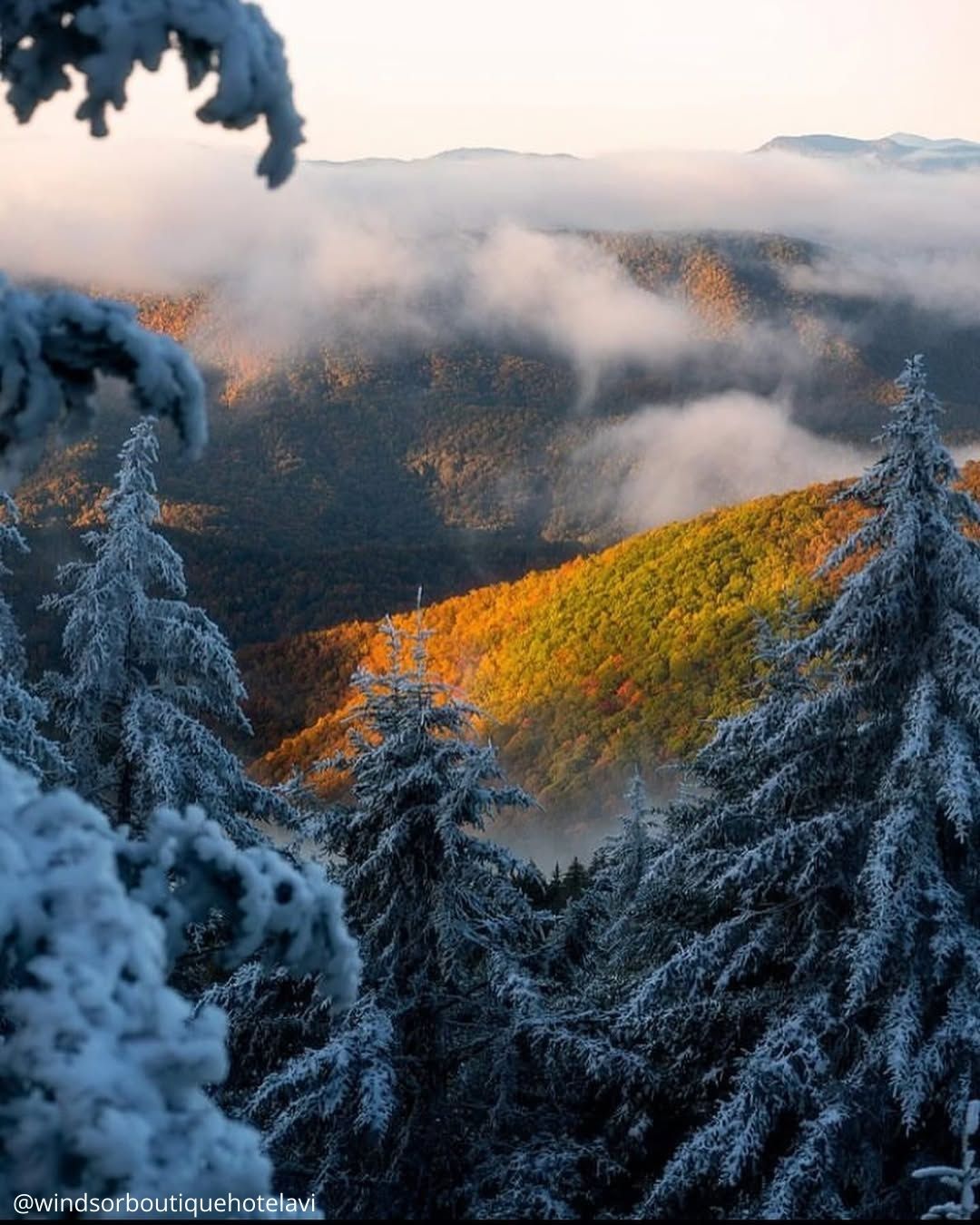 Asheville, North Carolina