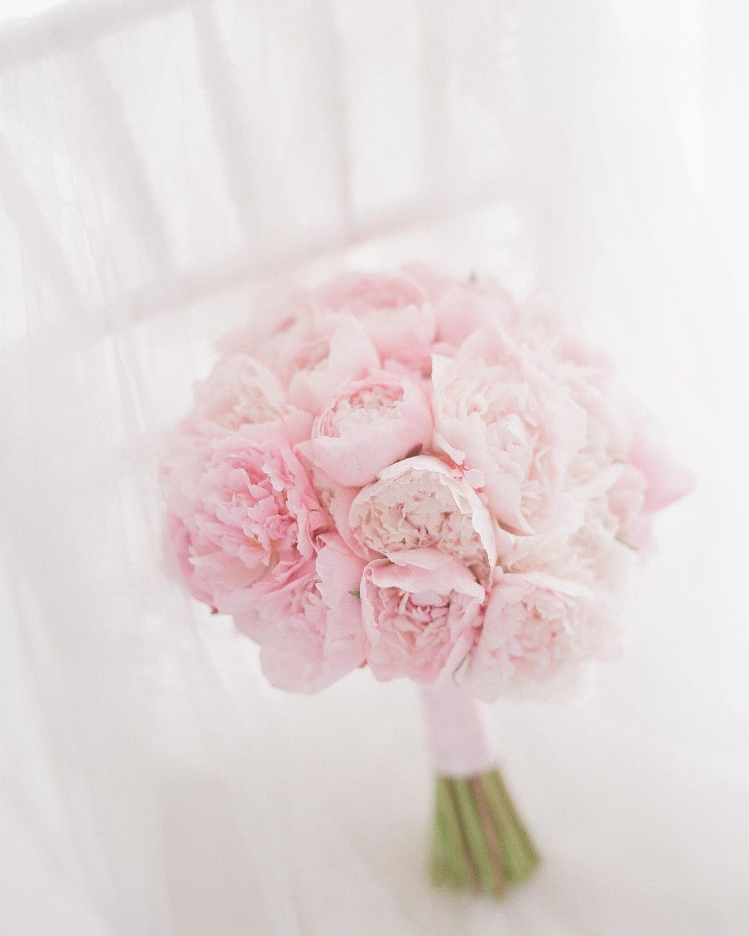 Peonies