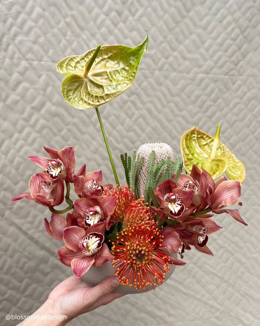 Protea