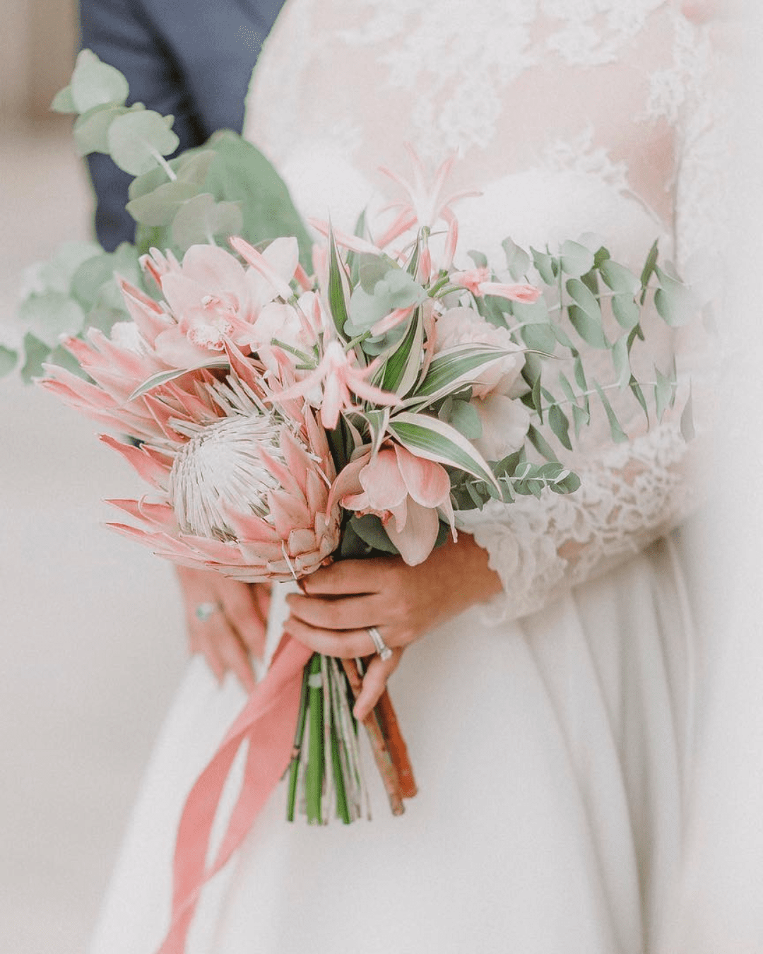 Ranunculus