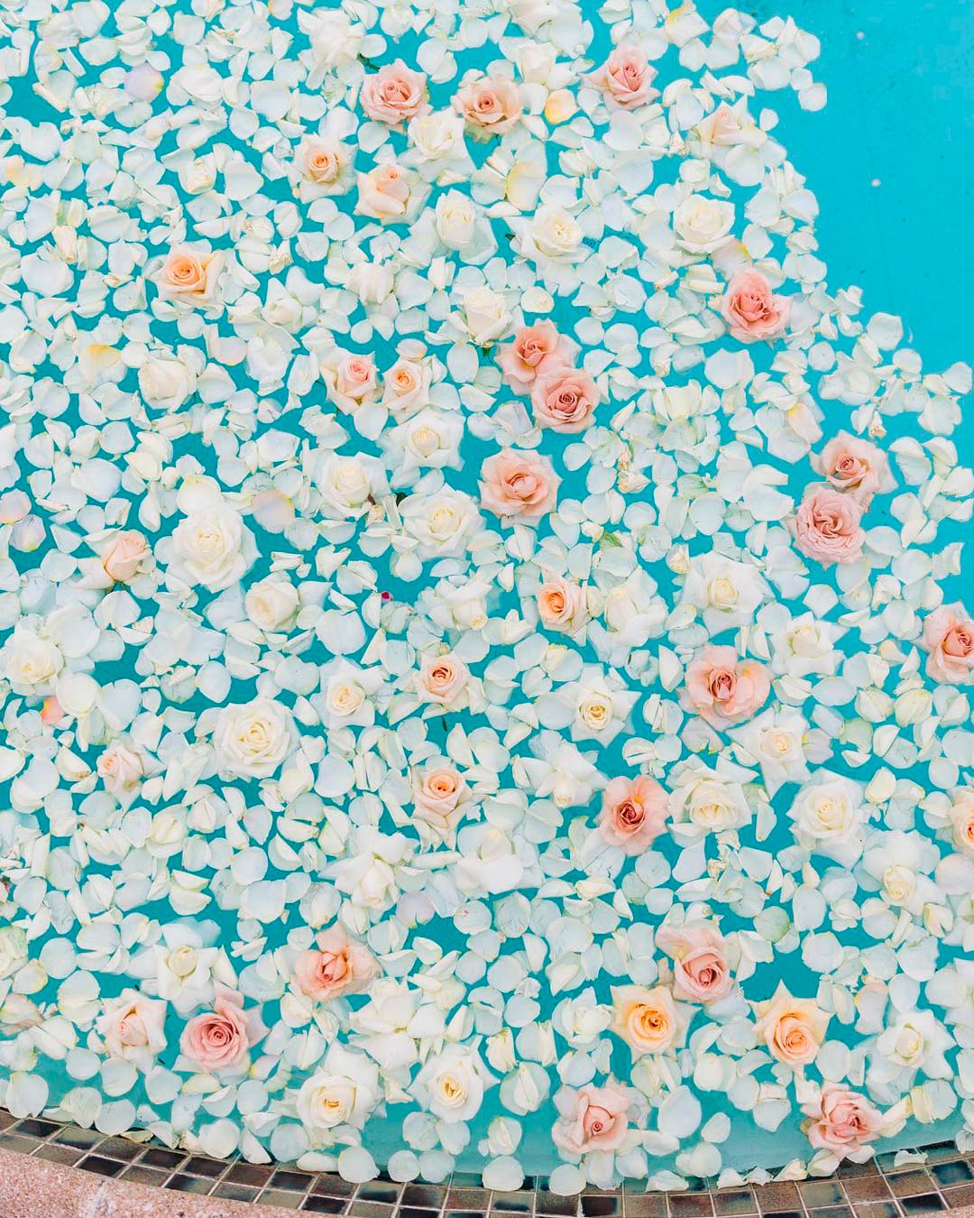 Swimming Pool Wedding Décor With Flower Petals and Flowers Floating