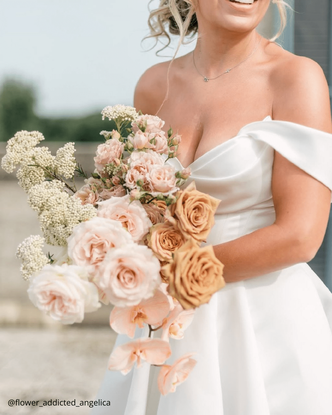 Garden Roses