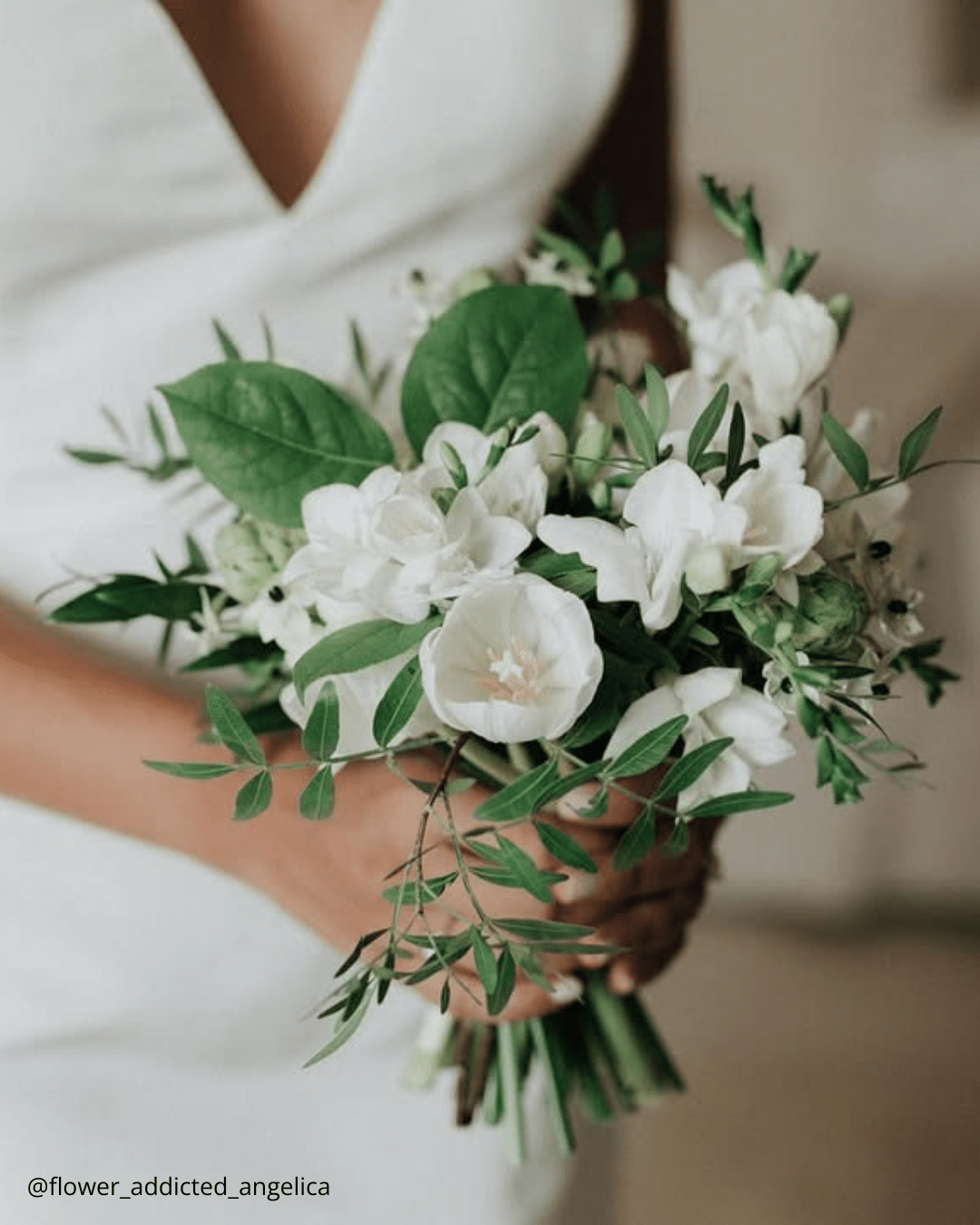 August Flowers: Golden Hour & Late Summer Charm