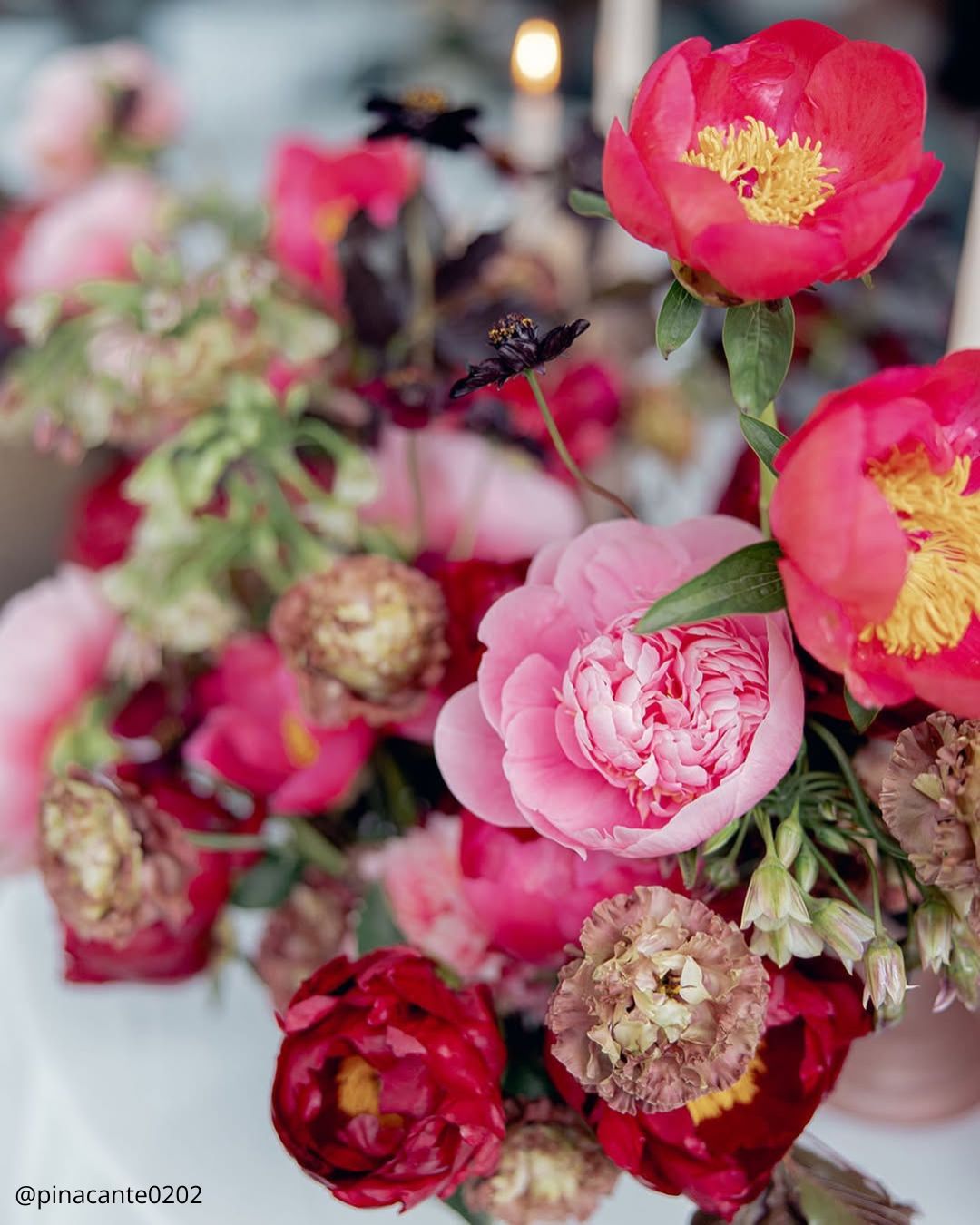 August Flowers: Golden Hour & Late Summer Charm