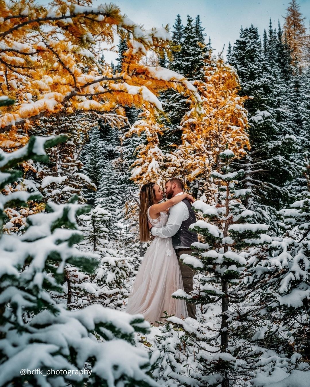 Winter Engagement Shoot With Your Dog