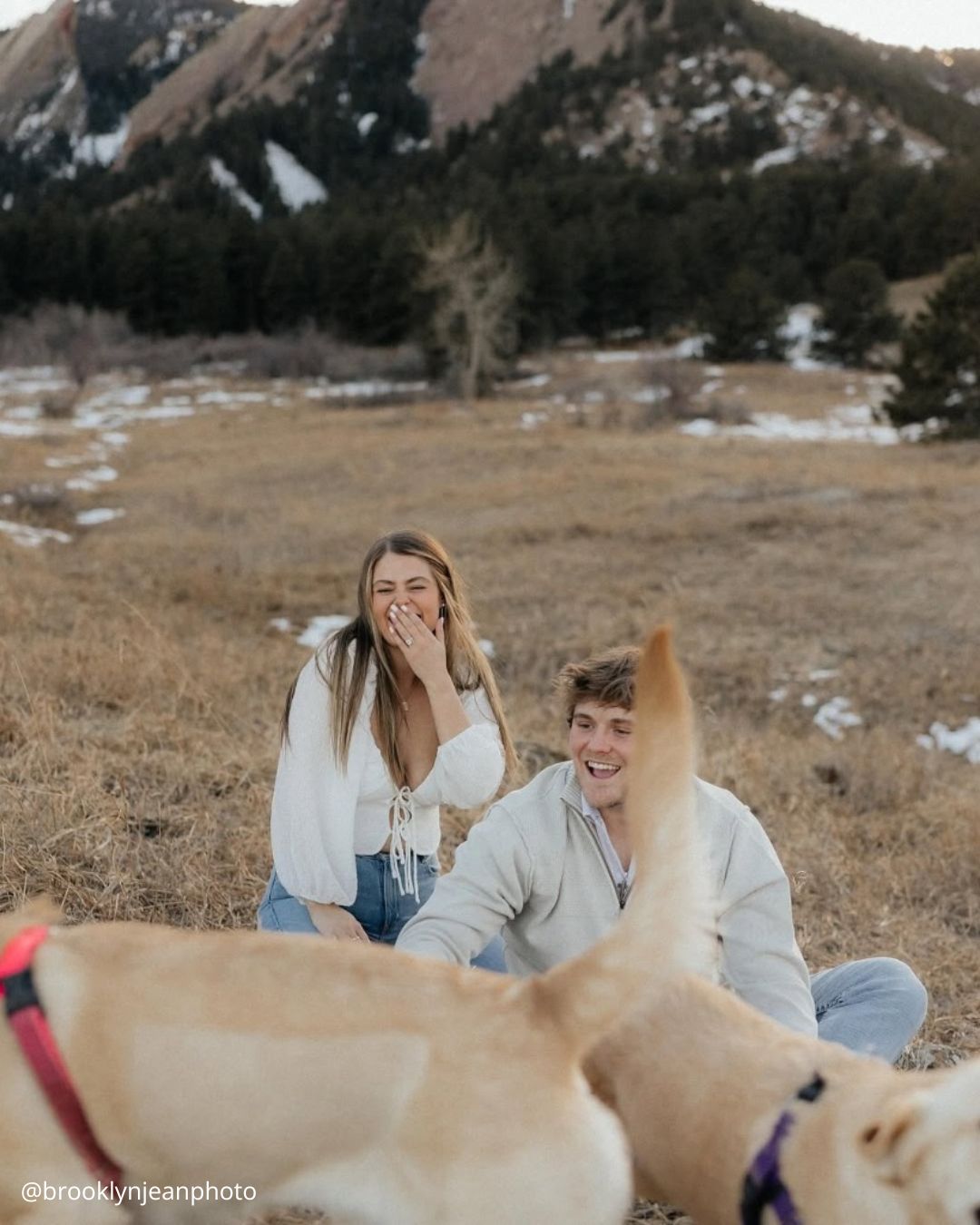 Winter Engagement Shoot With Your Dog