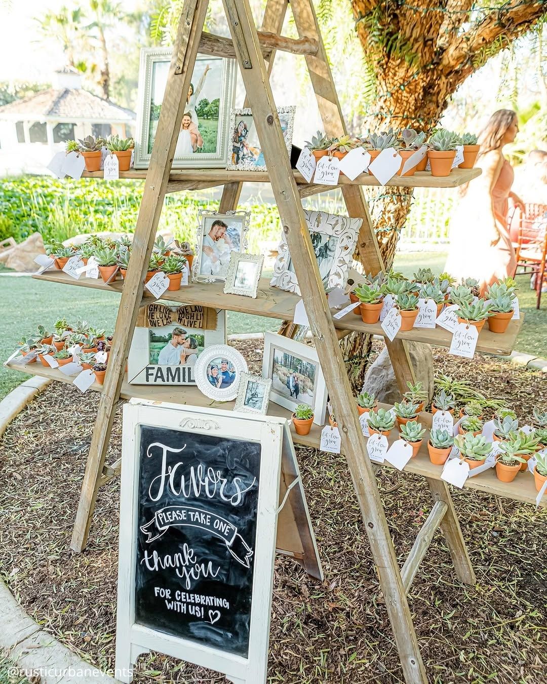 Wedding Decor Rentals