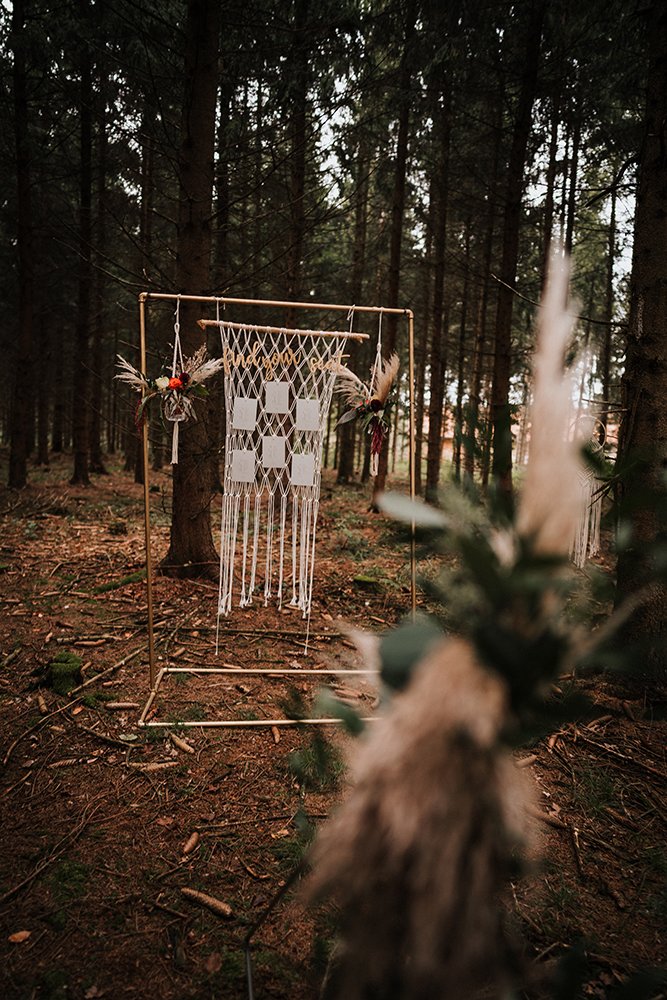 Real Big Wedding Trend: Llamas