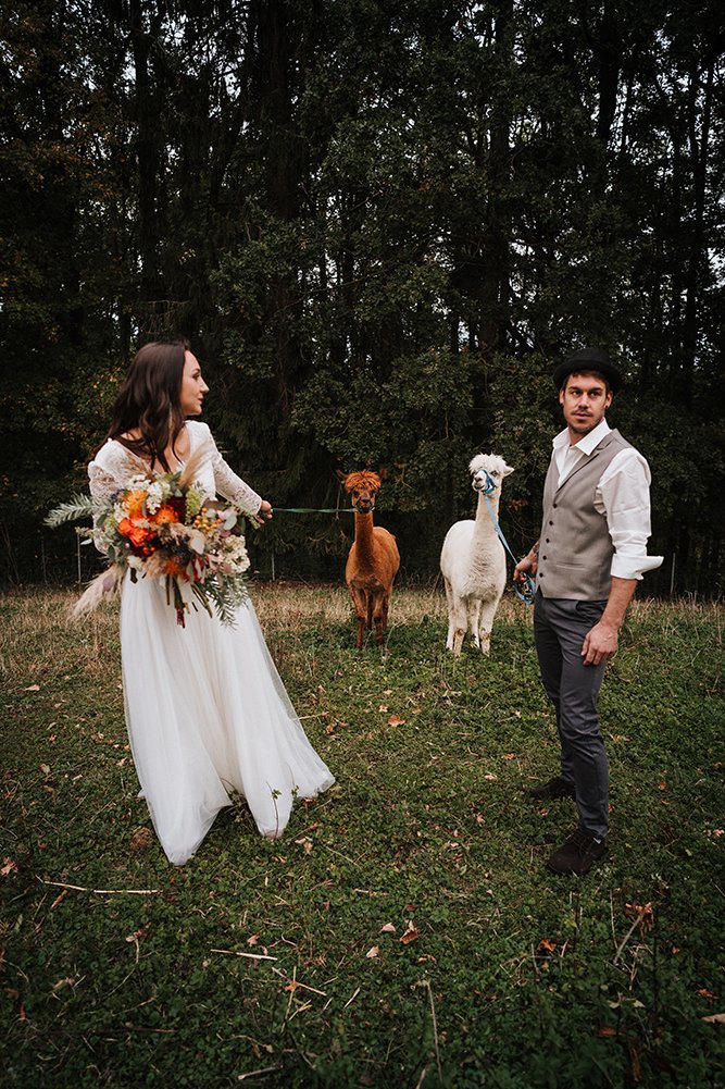 Real Big Wedding Trend: Llamas