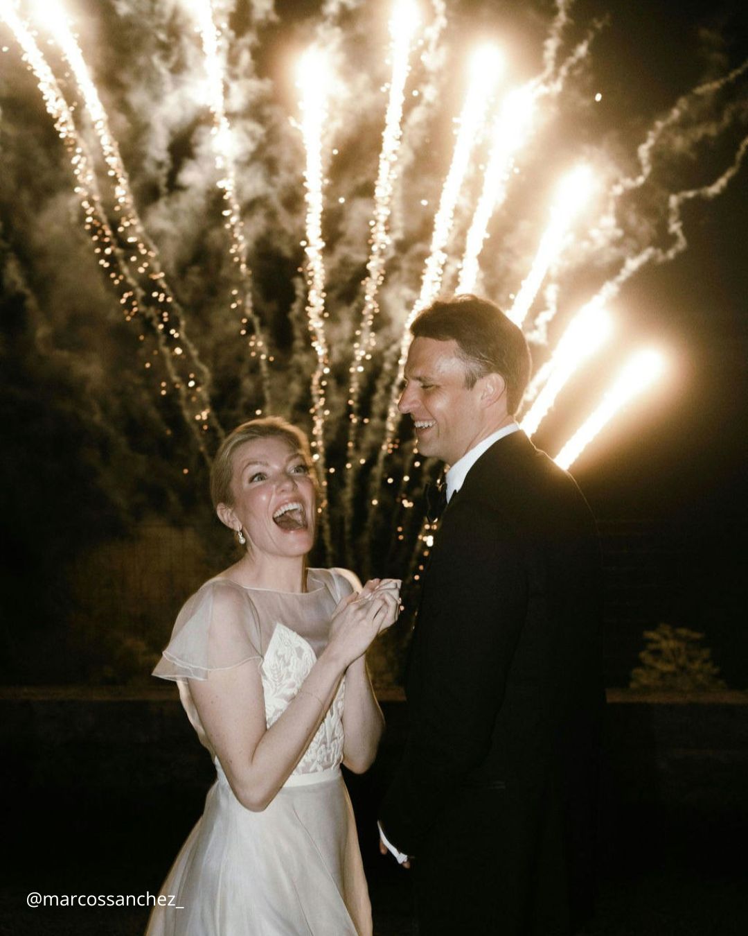 Cute Wedding Photos with Pets: Candid Moments with Furry Friends