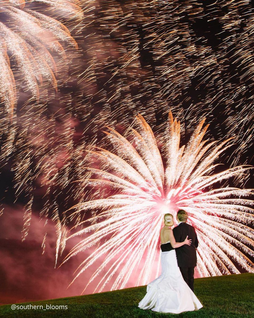 Cute Wedding Photos with Pets: Candid Moments with Furry Friends