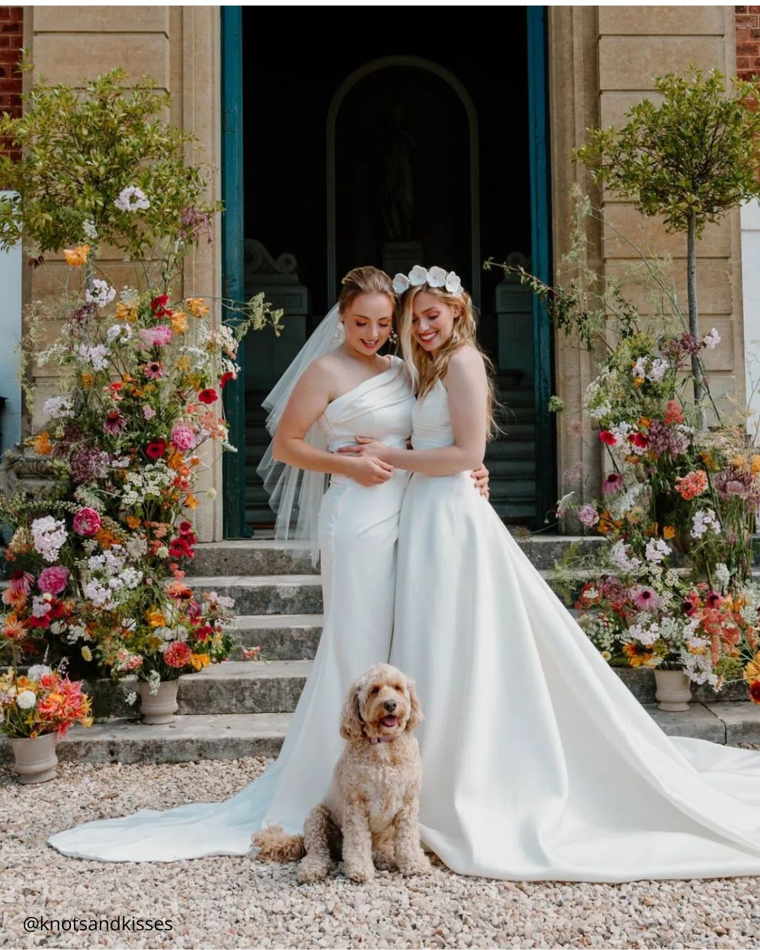 Cute Wedding Photos with Pets: Candid Moments with Furry Friends