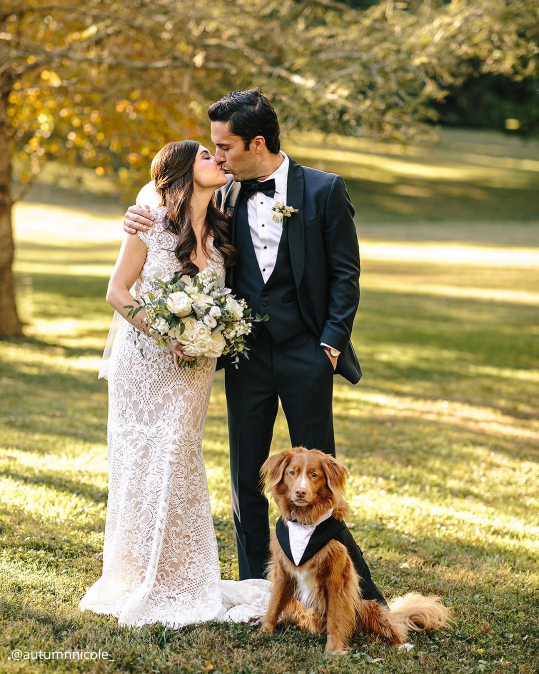 Cute Wedding Photos with Pets: Candid Moments with Furry Friends