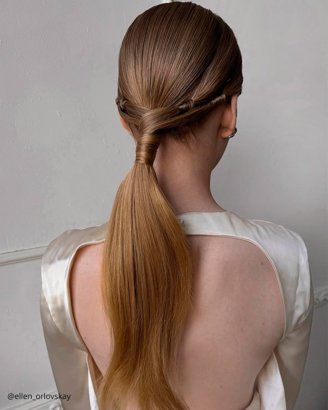 Braided Crown Updo