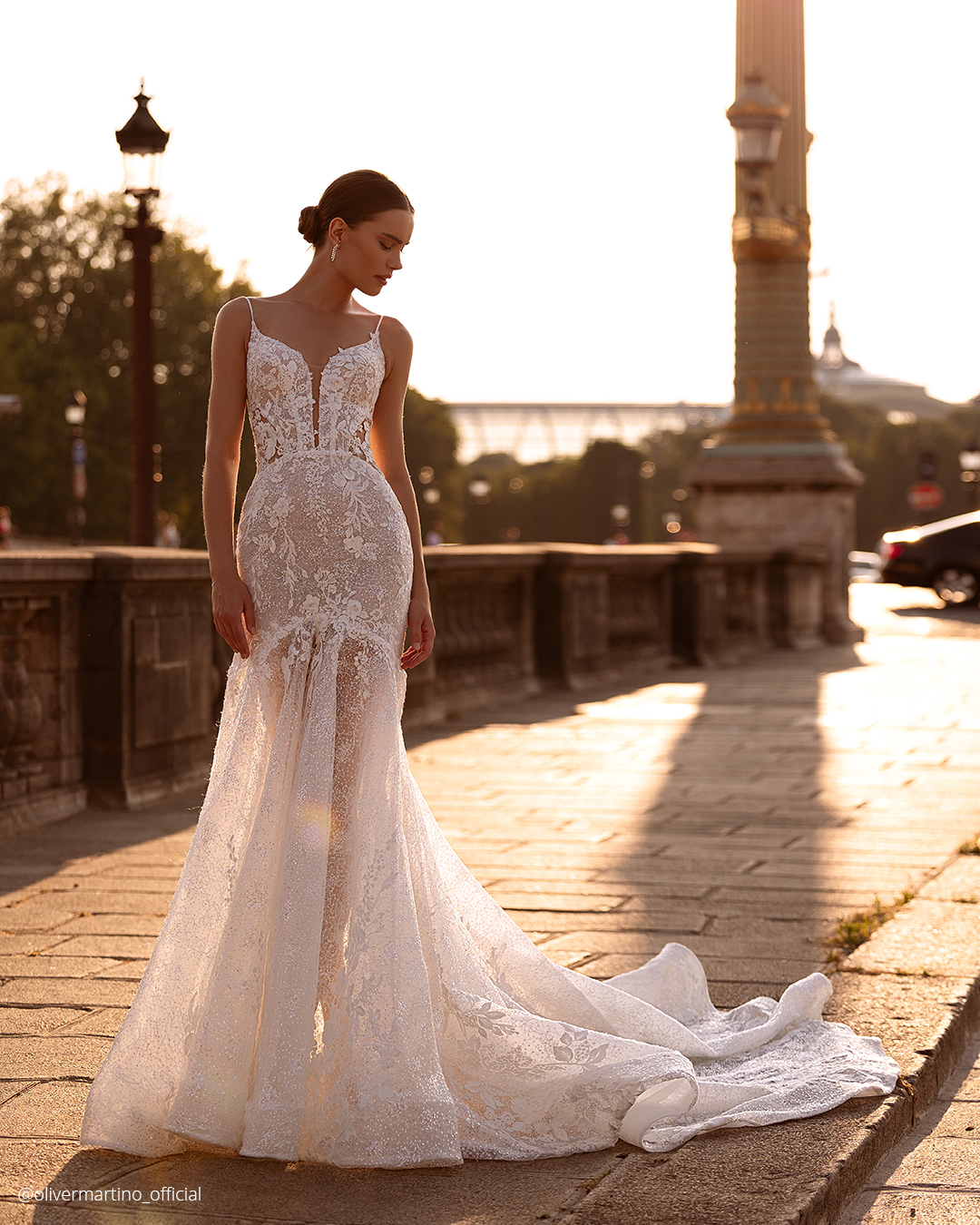 Mermaid Lace Wedding Dresses