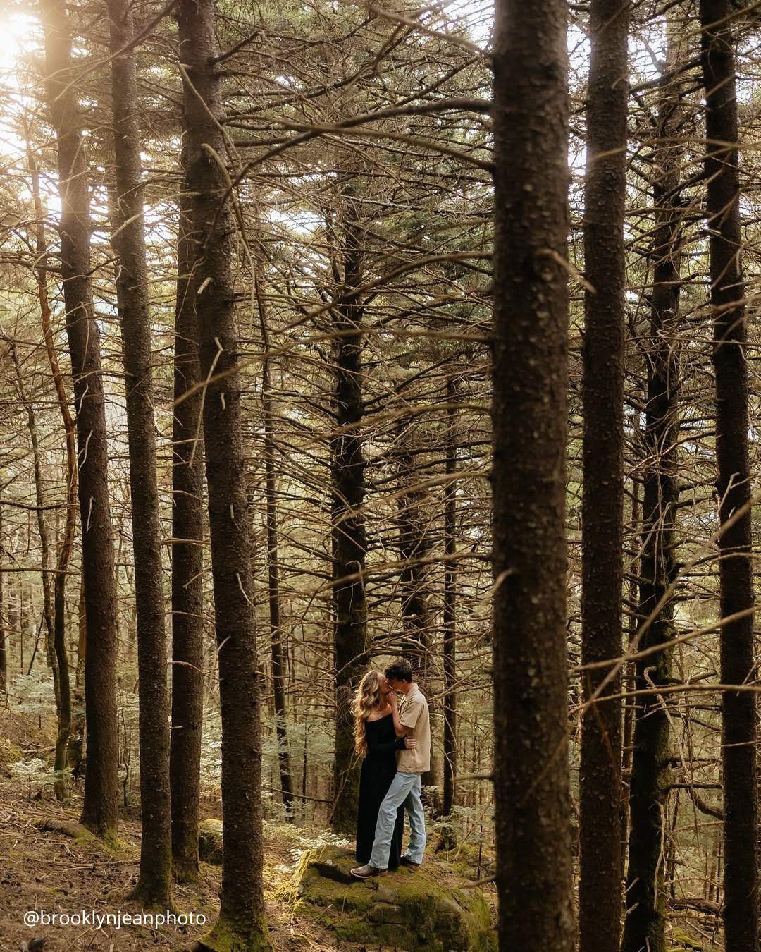 Wedding Day Photos In the Wood