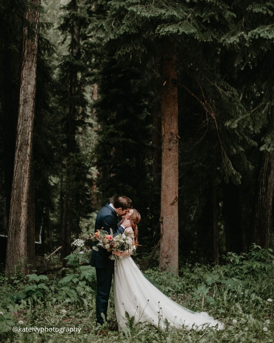 Wedding Day Photos In the Wood