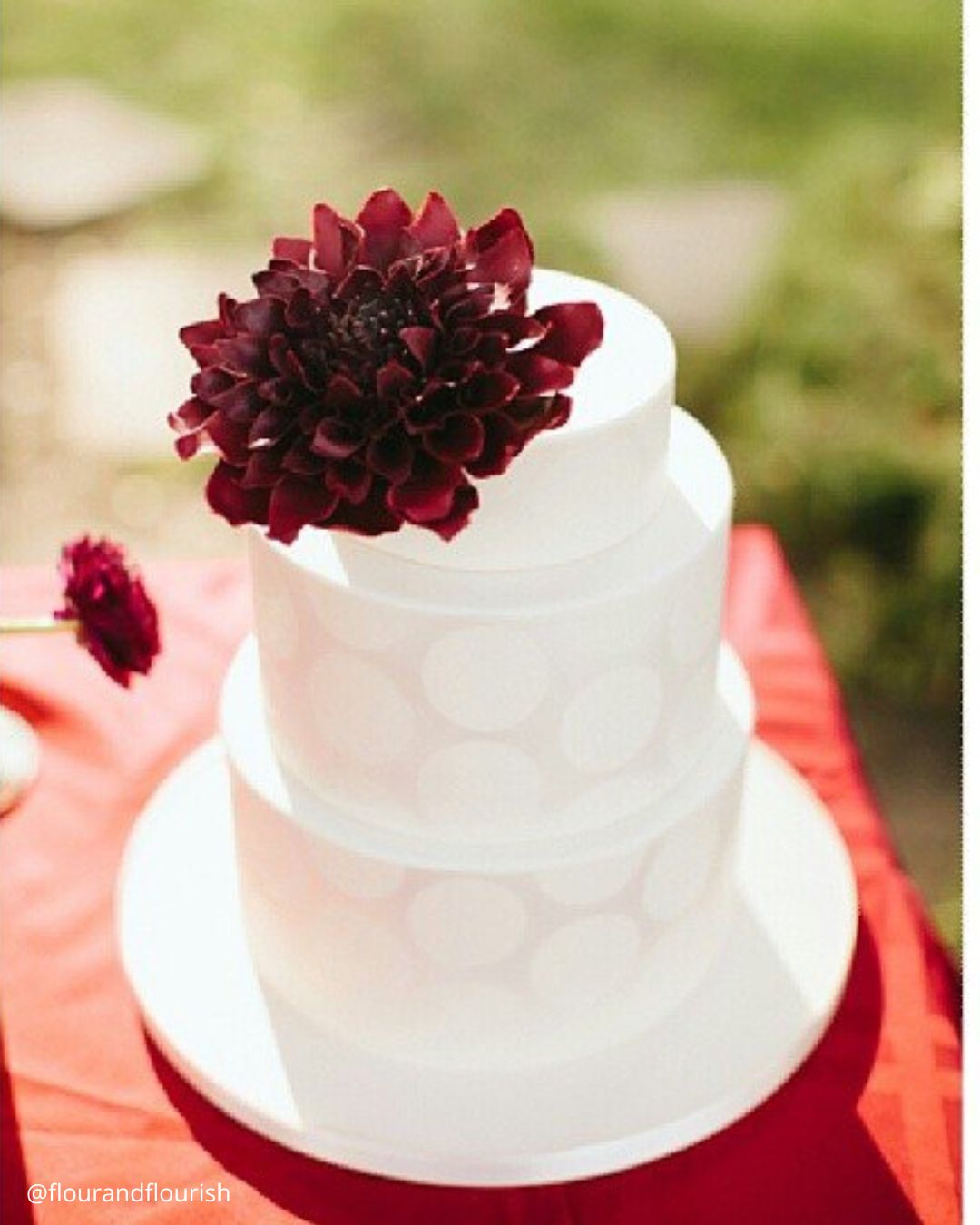 Cakes With Sensual Messages On Toppers
