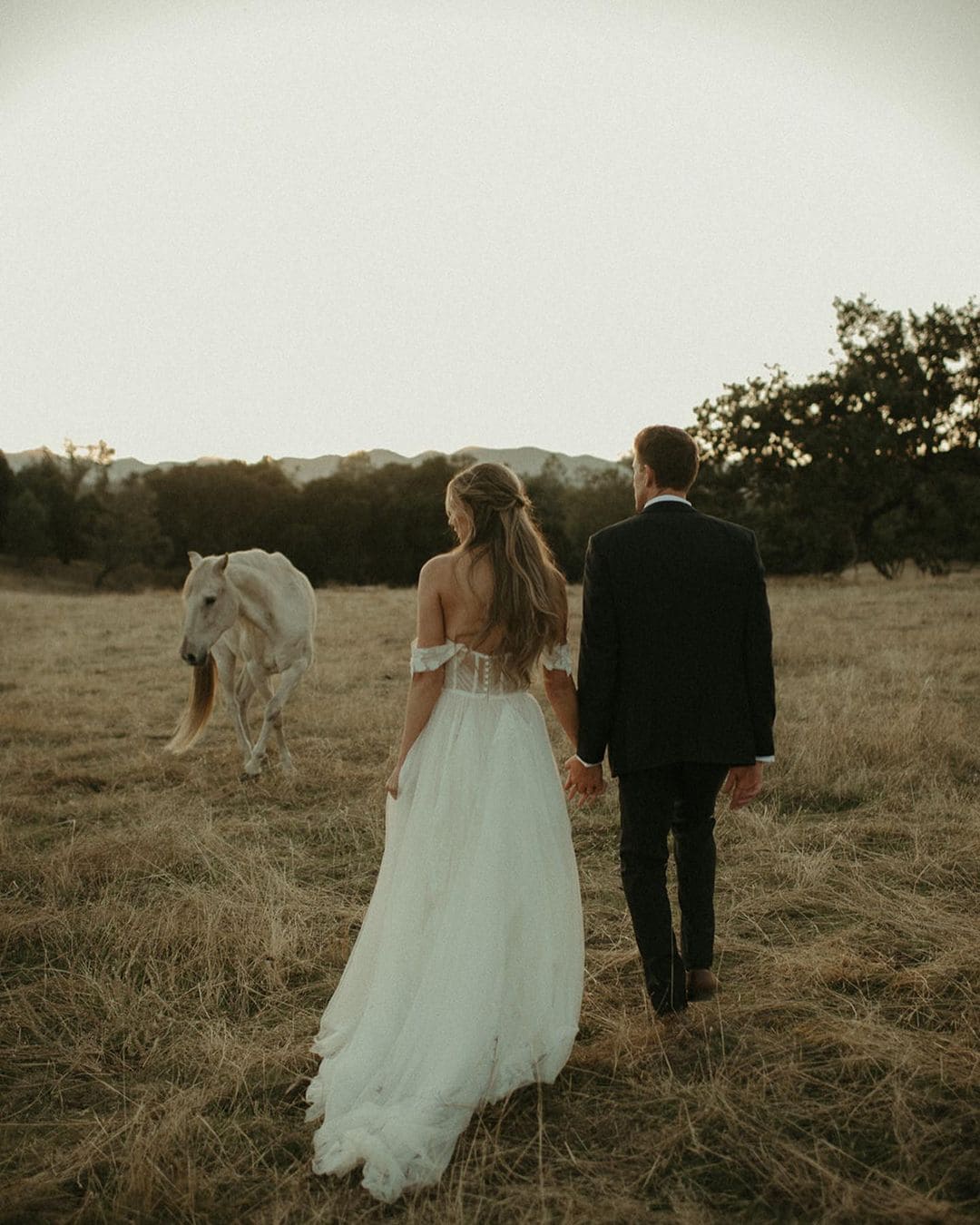 Funny Wedding Photographs