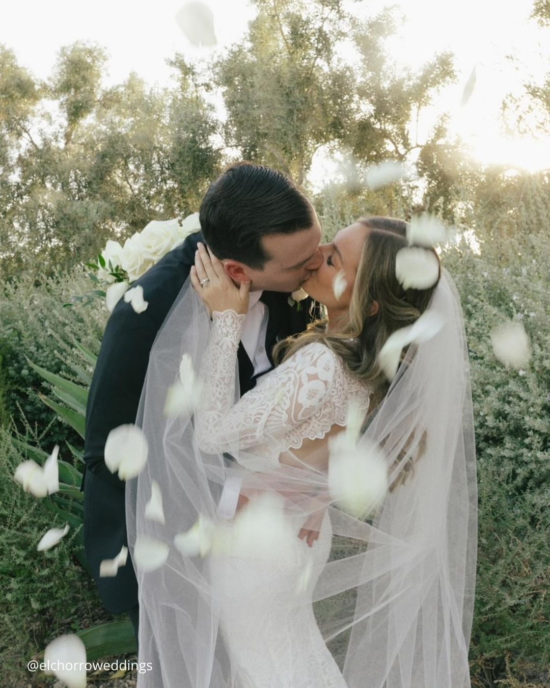 Wedding Party Photos