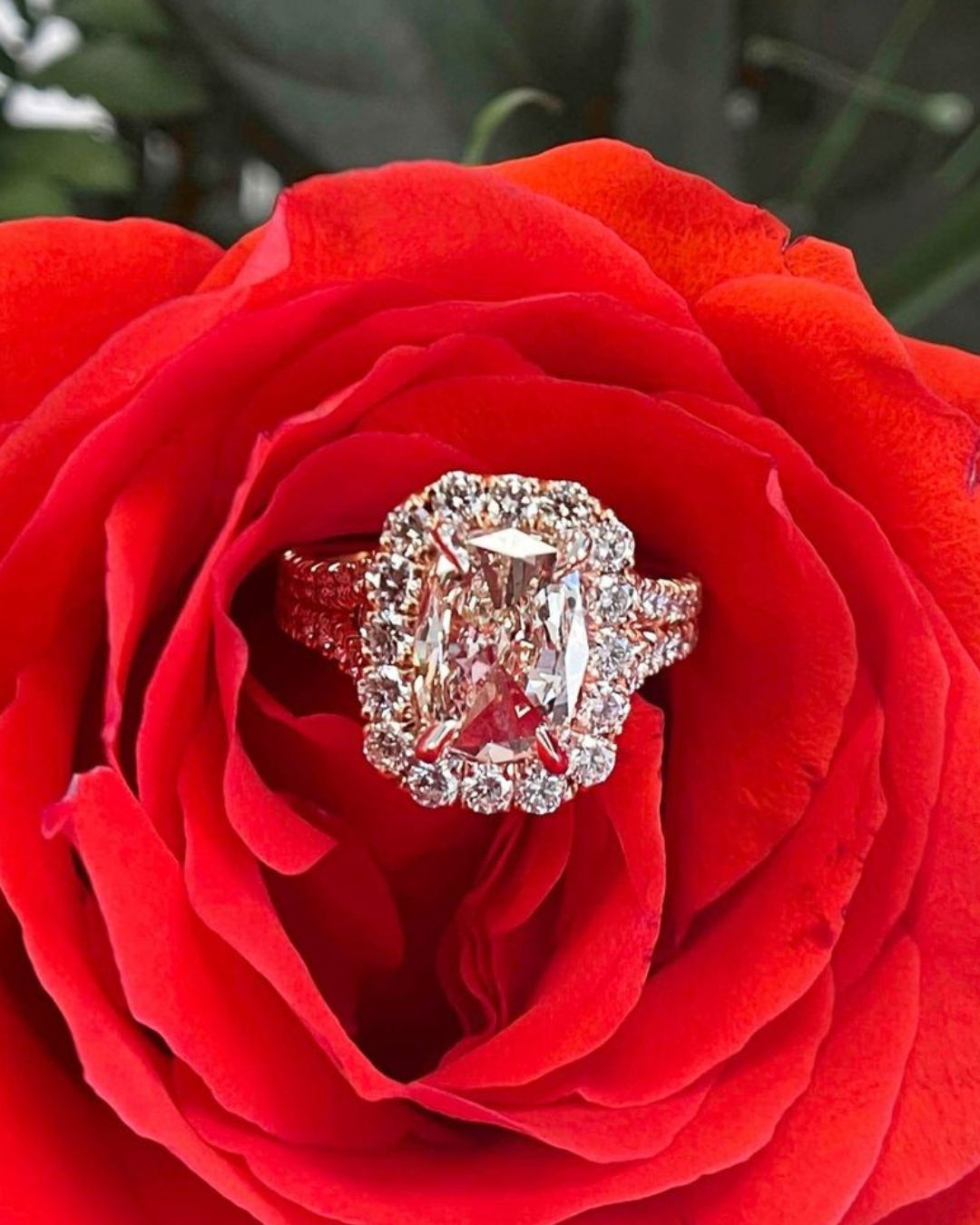 Diamonds Halo Engagement Rings