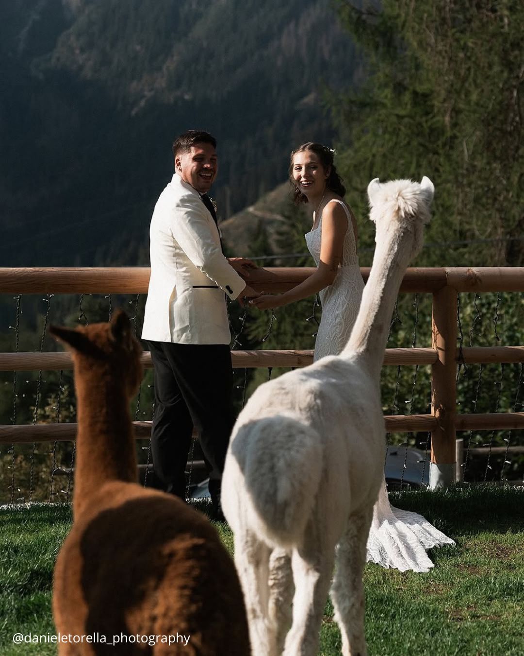 Cute Wedding Pictures Of Bride And Groom