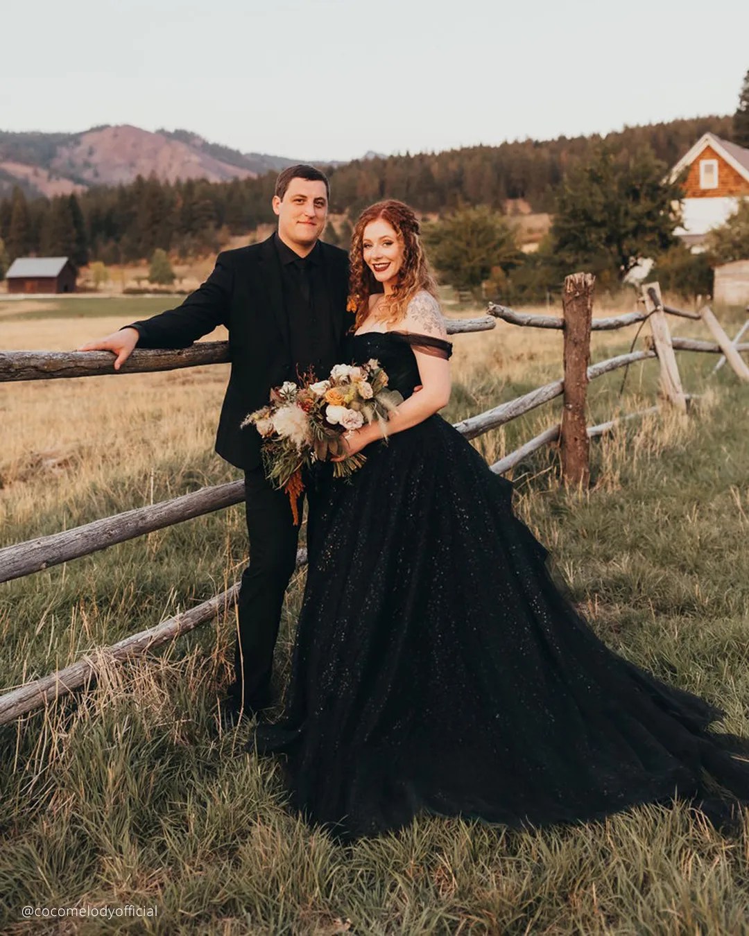 Plus Size Black Wedding Dresses