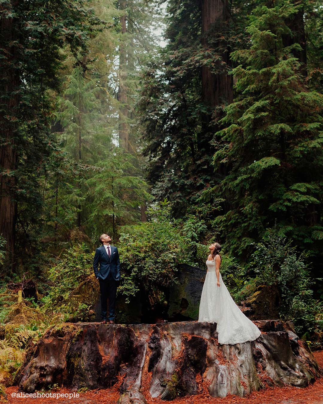 Dark Wedding Theme