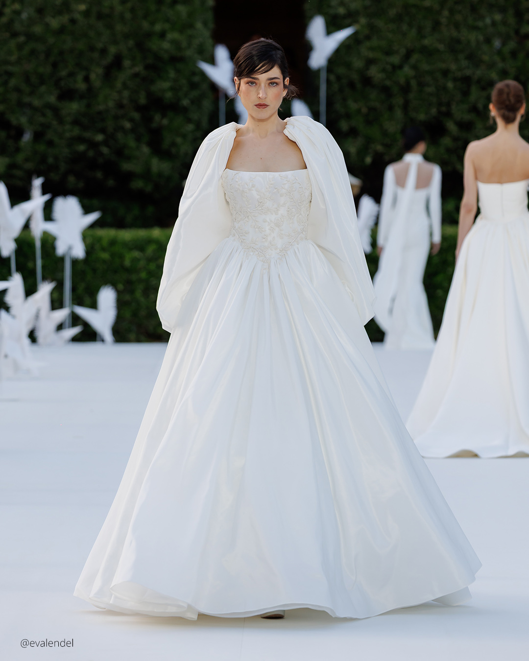 Veils & Capes Dresses
